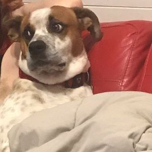 Meet your Posher, Kimberley